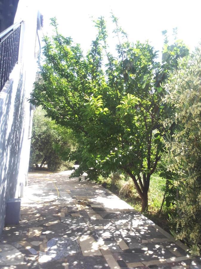 Belle Maison Au Coeur Des Montagnes De Taza A Moins De 10 Minutes De L'Agora Park Villa Dış mekan fotoğraf